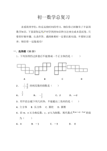 初一数学总复习