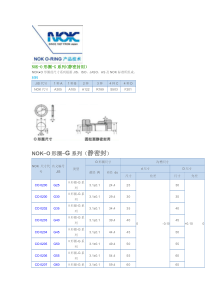 NOK(O圈规格)