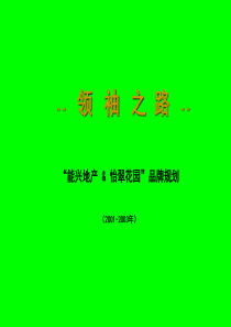 品牌规划（PPT 14页）