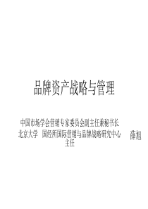 品牌资产战略与管理