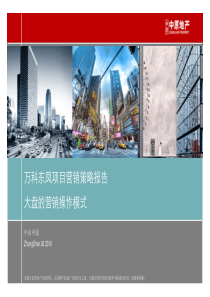 中原-XXXX年8月万科中山东凤项目营销策略报告191P