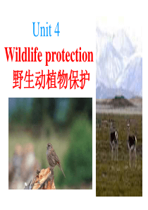 高一英语课件wildlifeprotection高一英语课件