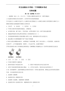 2019-2020学年河北省衡水高一下学期期末考试生物试题-word版有答案(已审阅)