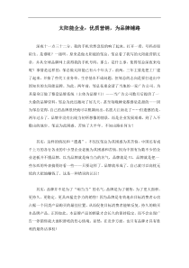 太阳能企业，优质营销，为品牌铺路doc10)(1)