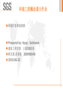 2019年-环境污染事故案例-PPT精选文档