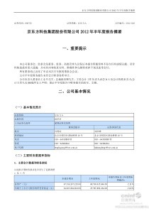 京东方XXXX年半年度报告摘要