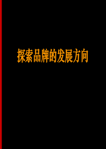 奥美--探索品牌的发展方向(PPT 48)