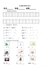 一年级汉语拼音练习卷(8套)