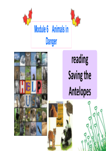 Saving-the-antelopes公开课课件