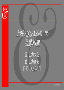 奥美—上海大众passatb5品牌构建