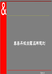 奥美丹枫白露品牌规划(1)