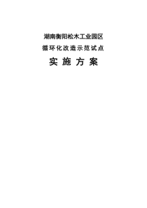 湖南衡阳松木工业园区循环化改造示范试点实施方案