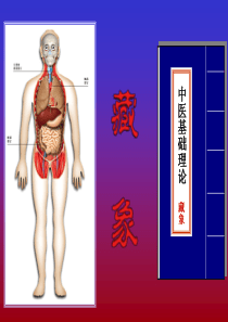 中医基础理论—藏象、气血津液