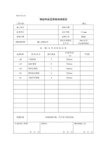 钢结构涂层厚度检测报告