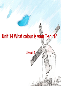 新概念青少版(入门级)Unit-14What-colour-is-your-T-shirt