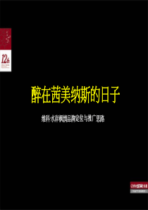 宁波维科水岸枫情品牌定位与推广方案