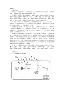 群体感应