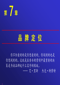 市场营销07品牌与品牌定位