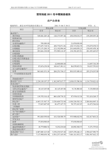 双环科技：XXXX年半年度财务报告 XXXX-08-10