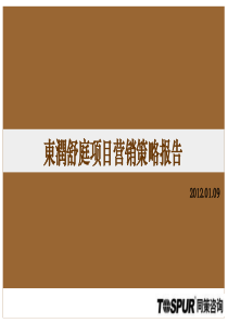 同策XXXX年01月09日上海东润舒庭项目营销策略报告91P