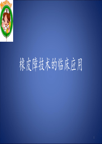 橡皮障技术的临床应用PPT参考课件