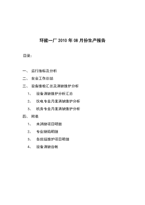 垃圾焚烧电厂月度分析报告