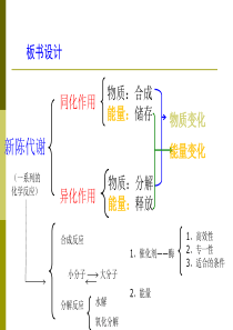 生物体内的化学反应(最终版)