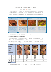 结肠镜检查肠道评估方法