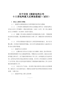 国网公司十八项反措