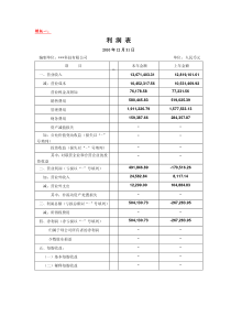 利润表(各种规范模板)