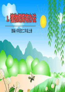 部编版二年级语文上册第3课《植物妈妈有办法》优秀ppt课件