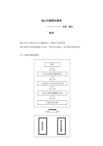 宝山月浦项目报告DOC49(1)