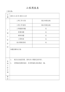 工程周报表