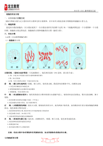 细胞有丝分裂过程