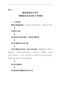 专题组织生活会全套资料模版