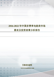 年中国多费率电能表市场需求及投资前景分析报告_图