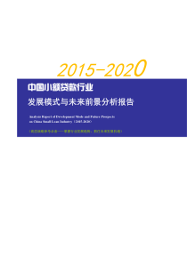 年中国小额贷款行业发展模式与未来前景分析报告【中