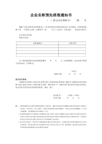 企业名称预先核准通知书