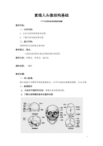 头骨教案---南陈大用