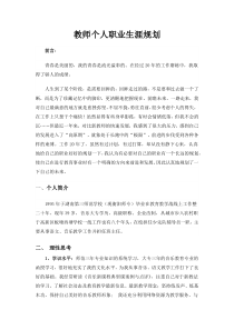 教师个人职业生涯规划