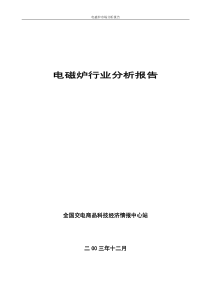 年度中国电磁炉行业报告