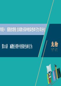 2021版浙江新高考选考生物一轮复习课件：第11讲-减数分裂中的染色体行为-