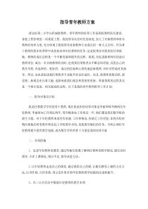 指导青年教师方案