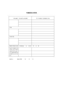 年度报告分析表（DOC 1页）