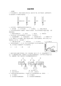 高三生物光合作用练习题及答案-