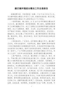 xx镇环境综合整治工作自查报告