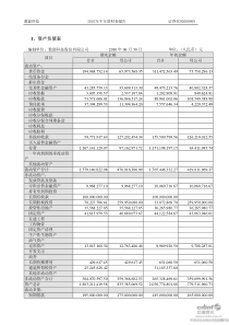 数源科技：XXXX年半年度财务报告