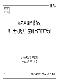 海尔空调品牌规划(PPT58)