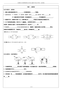 人教版九年级物理第20章电与磁章节复习学案(无答案)