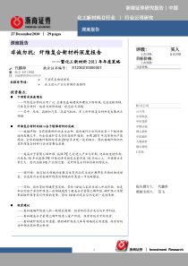 暨化工新材料行业：暨化工新材料XXXX年年度策略：纤维复合新材料深度报告